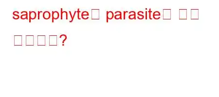 saprophyte와 parasite은 무슨 뜻인가요?